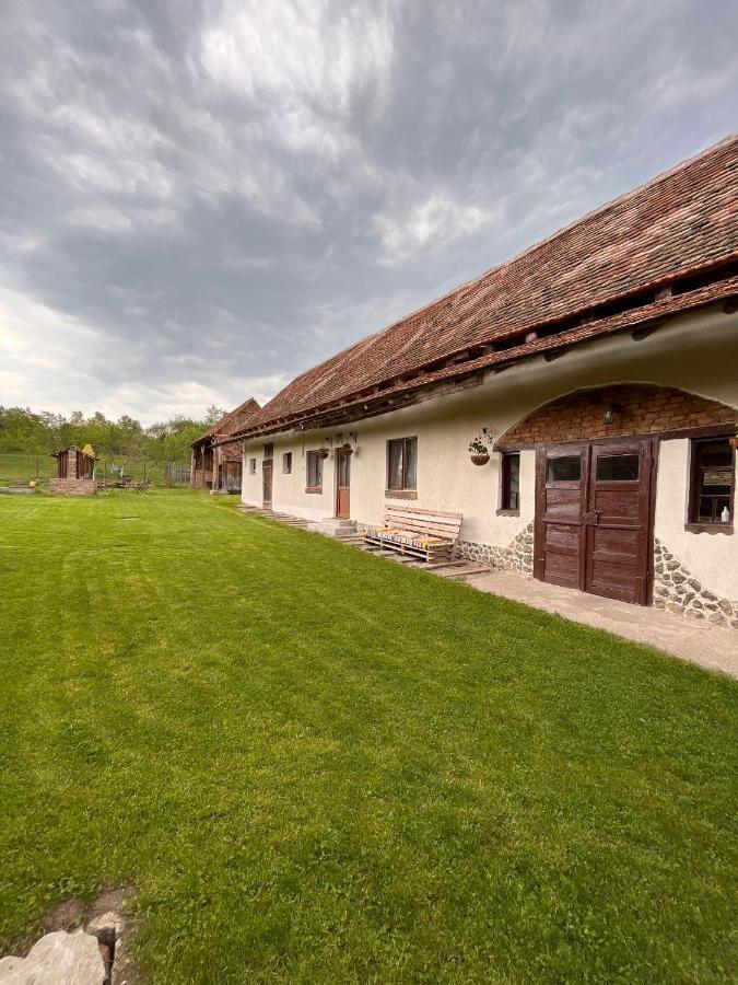 Barcut Casa Pe Valea Hartibaciului旅馆 外观 照片