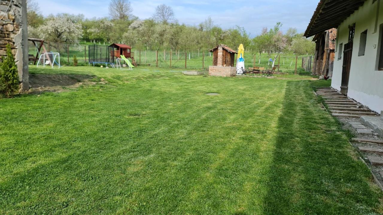 Barcut Casa Pe Valea Hartibaciului旅馆 外观 照片
